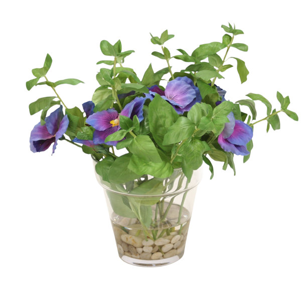 Primrue Pansy Centerpiece in Pot Wayfair